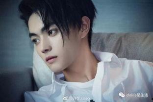 吃瓜娱乐八卦白鹿许凯,吃瓜娱乐八卦中的甜蜜邂逅